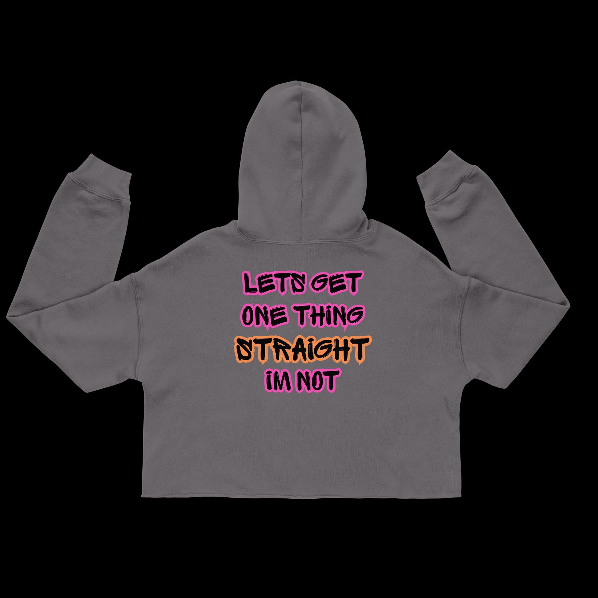 Femme Bar Pride 2026 crop hoodie in storm grey, back — rainbow Femme branding, Worcester MA